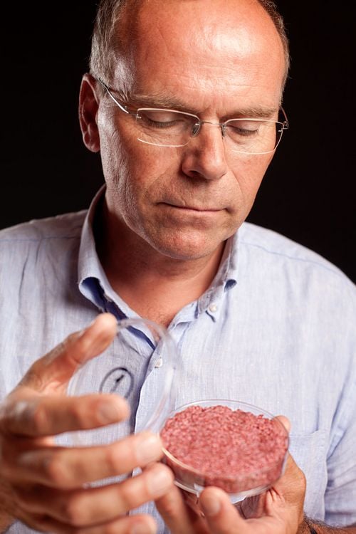 Produktbild: The End of Meat - Eine Welt ohne Fleisch + Bonus: Kurzdoku 'A Future Imperative' (ca. 30 Min; deutsche und englische Untertitel)