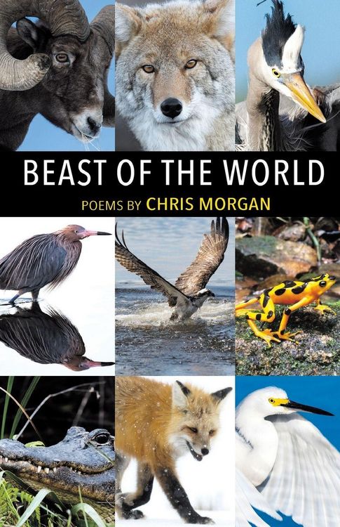Produktbild: Beast of the World