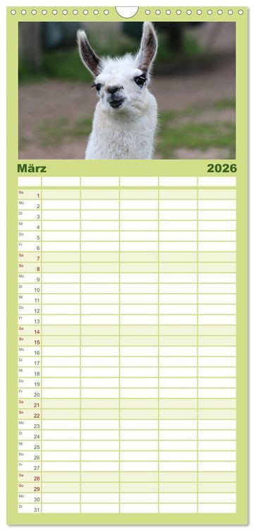 Produktbild: Familienplaner 2026 - Lama-Kalender mit 5 Spalten (Wandkalender, 21 x 45 cm) CALVENDO