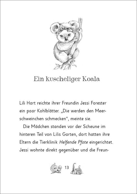 Produktbild: Die magischen Tierfreunde (Band 17) - Kiki Koala und die magische Schule