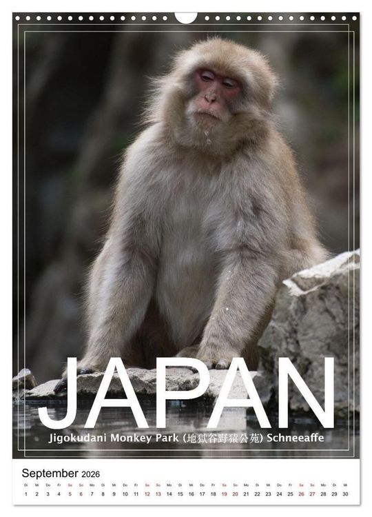 Produktbild: Japan PosterArt 2024 (Wandkalender 2026 DIN A3 hoch), CALVENDO Monatskalender