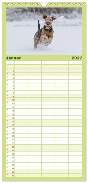 Produktbild: Familienplaner 2027 - Airedale-Terrier, was sonst! mit 5 Spalten (Wandkalender, 21 x 45 cm) CALVENDO