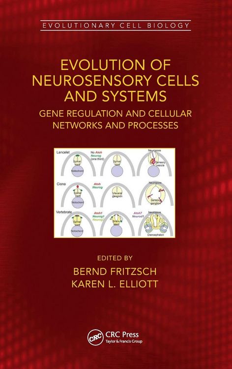 Produktbild: Evolution of Neurosensory Cells and Systems