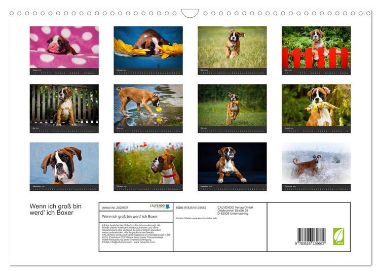 Produktbild: Wenn ich gro&szlig; bin werd' ich Boxer (Wandkalender 2026 DIN A3 quer), CALVENDO Monatskalender
