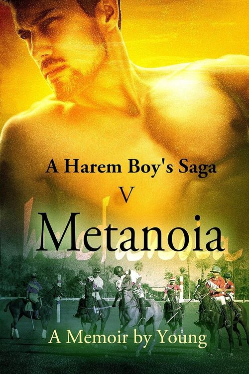 Produktbild: Metanoia (A Harem Boy's Saga Book 5)
