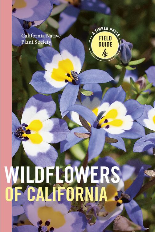Produktbild: Wildflowers of California