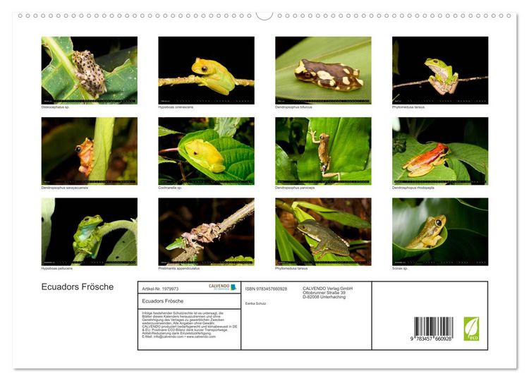 Produktbild: Ecuadors Fr&ouml;sche (hochwertiger Premium Wandkalender 2026 DIN A2 quer), Kunstdruck in Hochglanz