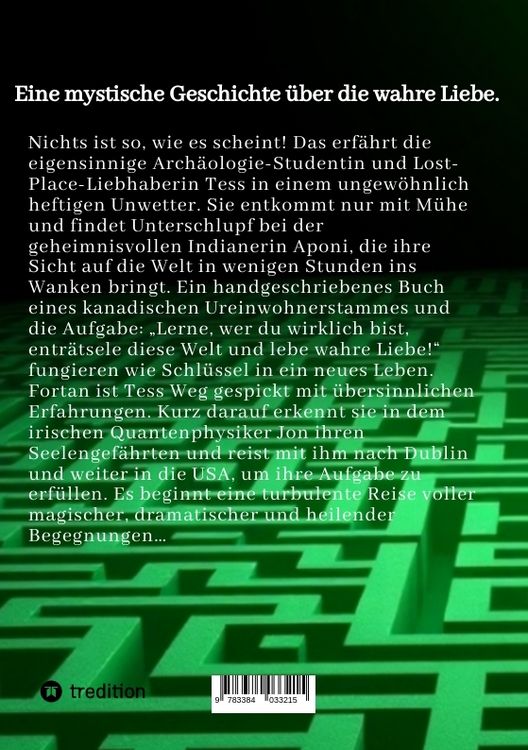 Produktbild: Das Labyrinth aus Sternenstaub und Tr&auml;umen