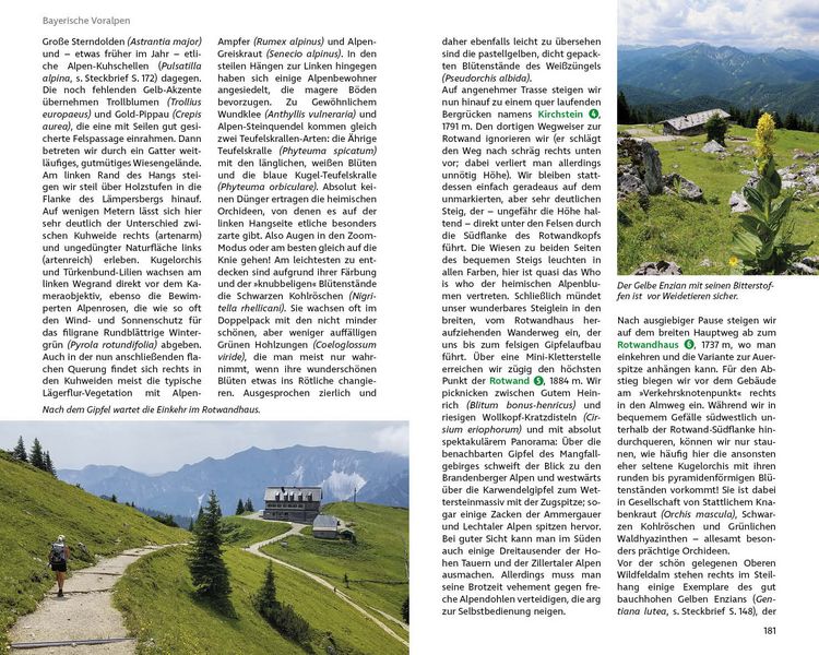 Produktbild: ROTHER Wanderbuch Blumenwanderungen Bayerische Alpen