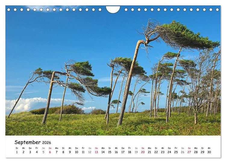 Produktbild: Deutschland- Nordsee und Ostsee (Wandkalender 2026 DIN A4 quer), CALVENDO Monatskalender