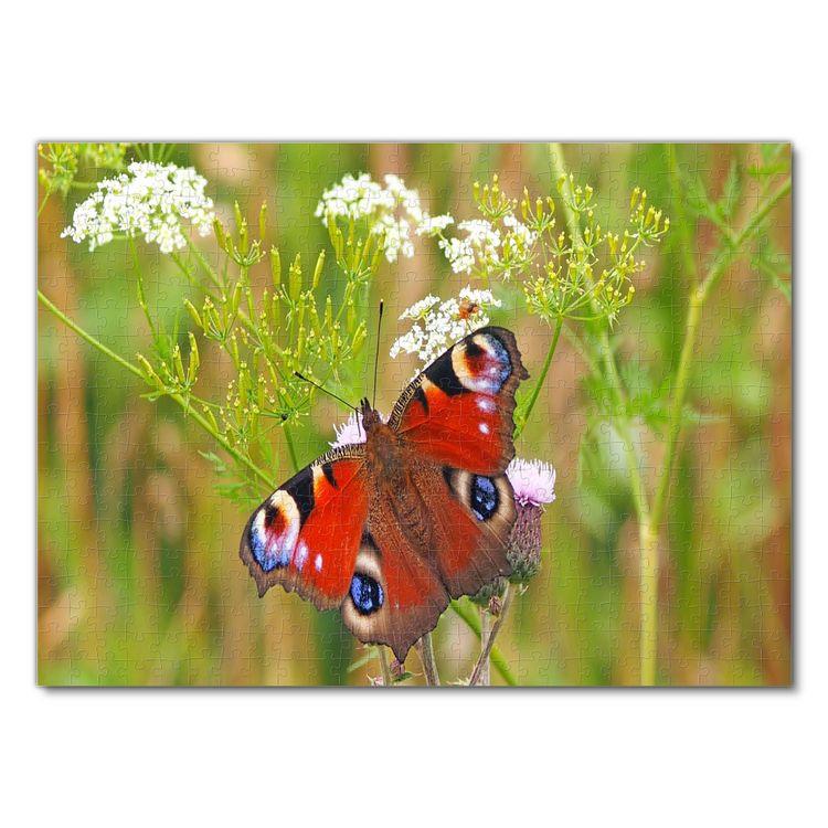 Produktbild: Lais Puzzle Schmetterling 500 Teile