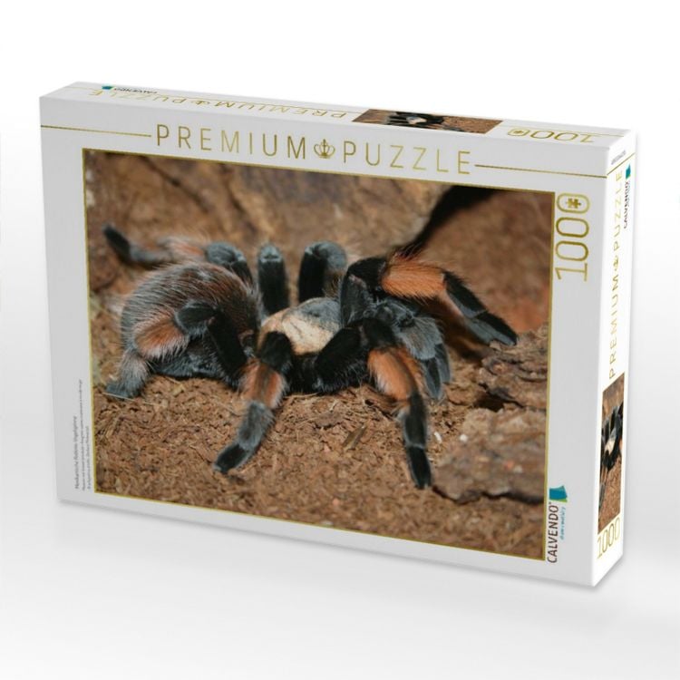Produktbild: CALVENDO Puzzle Mexikanische Rotknie-Vogelspinne | 1000 Teile Lege-Gr&ouml;&szlig;e 64x48cm Foto-Puzzle f&uuml;r gl&uuml;ckliche Stunden