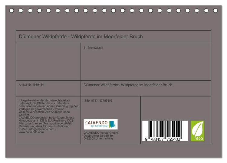 Produktbild: D&uuml;lmener Wildpferde - Wildpferde im Meerfelder Bruch (Tischkalender 2026 DIN A5 quer), CALVENDO Monatskalender