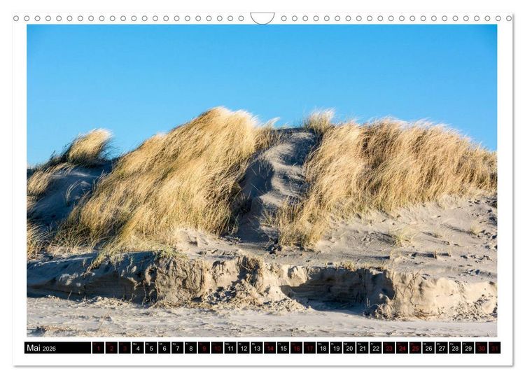 Produktbild: St. Peter-Ording - Natur pur (Wandkalender 2026 DIN A3 quer), CALVENDO Monatskalender