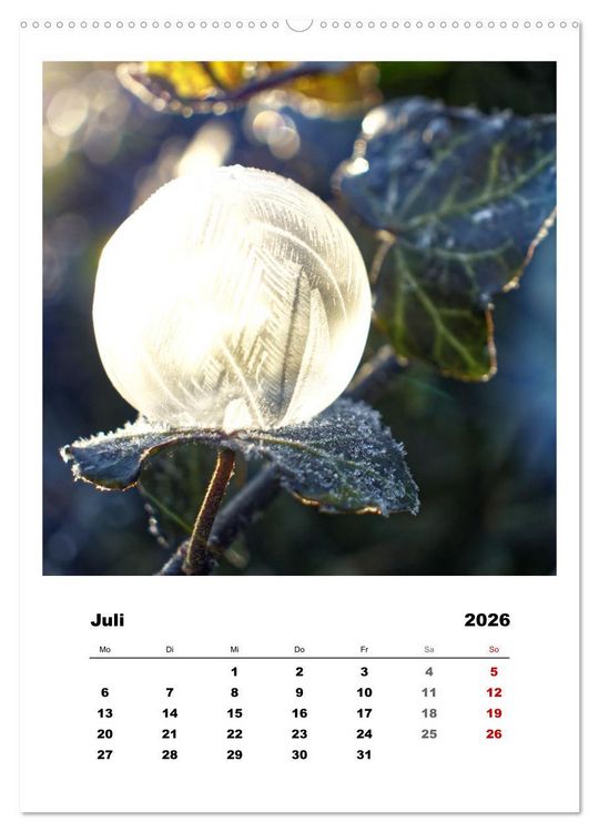 Produktbild: Frostige Seifenblasen (hochwertiger Premium Wandkalender 2026 DIN A2 hoch), Kunstdruck in Hochglanz