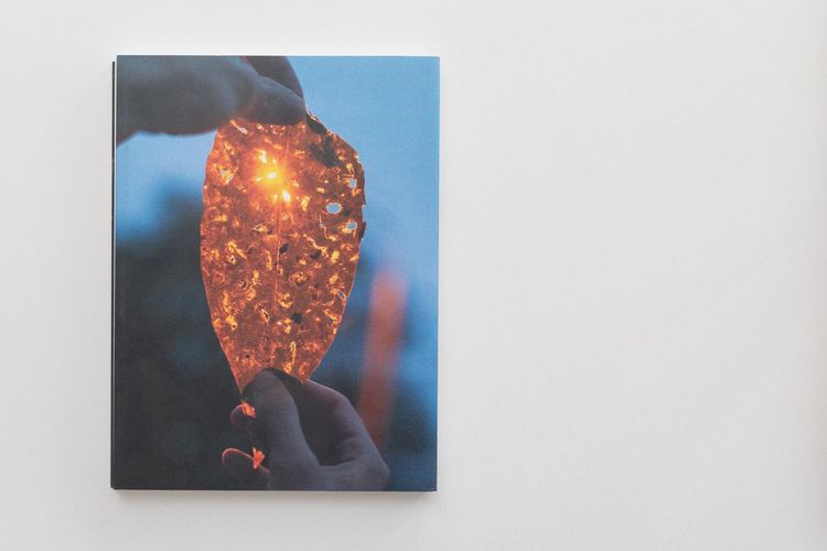 Produktbild: Paul Hutchinson