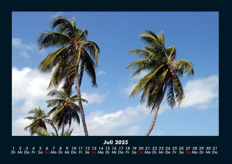 Produktbild: Palmentraum 2025 Fotokalender DIN A4