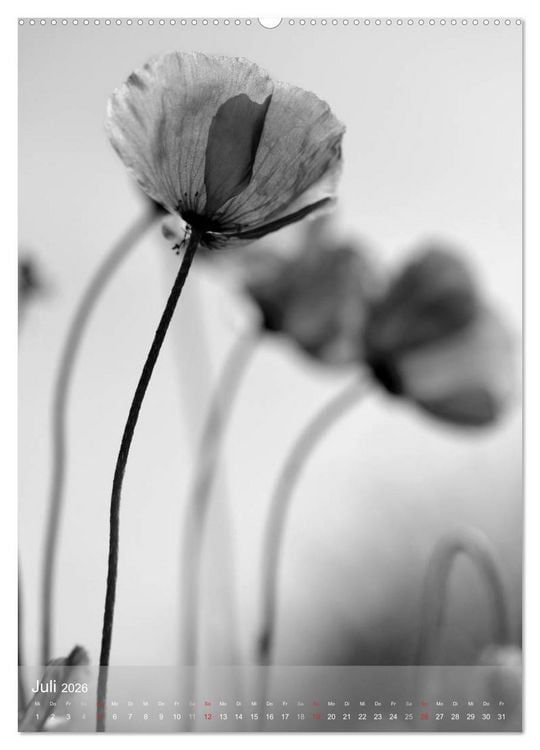 Produktbild: Monochrome Bl&uuml;ten - In Schwarz-Wei&szlig; Bildern durch das Jahr (hochwertiger Premium Wandkalender 2026 DIN A2 hoch), Kunstdruck in Hochglanz