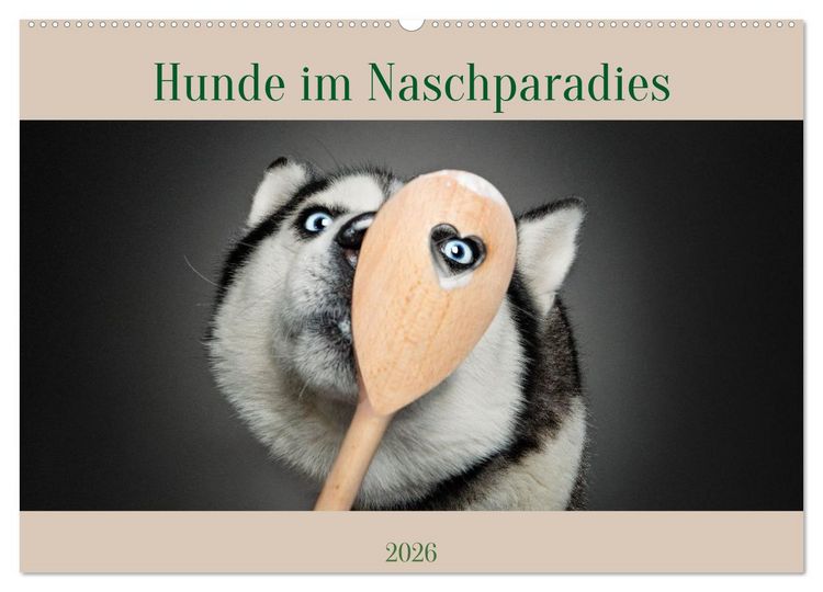 Produktbild: Hunde im Naschparadies (Wandkalender 2026 DIN A2 quer), CALVENDO Monatskalender