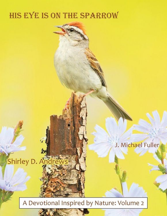 Produktbild: HIS Eye is on the Sparrow
