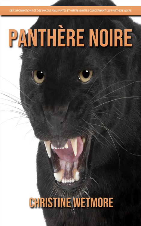 Produktbild: Panth&egrave;re Noire - Des Informations et des Images Amusantes et Int&eacute;ressantes concernant les Panth&egrave;re Noire