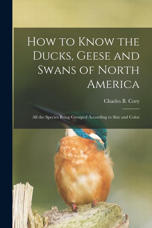 Produktbild: How to Know the Ducks, Geese and Swans of North America: All the Species Being Grouped According to Size and Color
