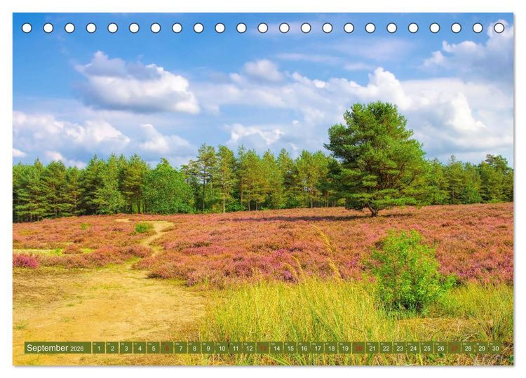 Produktbild: Bad Bodenteich - Kurort in der L&uuml;neburger Heide (Tischkalender 2026 DIN A5 quer), CALVENDO Monatskalender