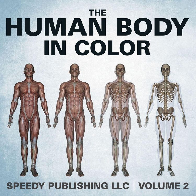Produktbild: The Human Body In Color Volume 2