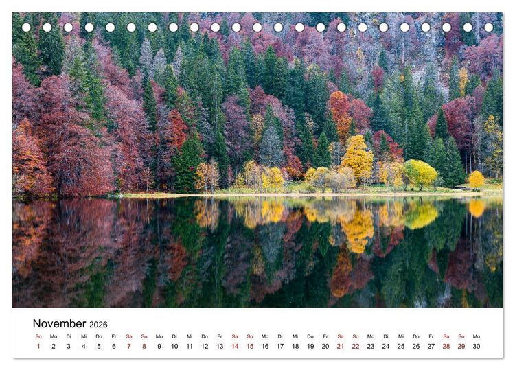 Produktbild: Freiburg, Drumherum (Tischkalender 2026 DIN A5 quer), CALVENDO Monatskalender