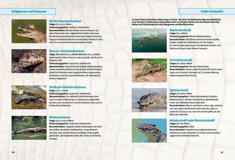 Produktbild: Entdecke die Krokodile