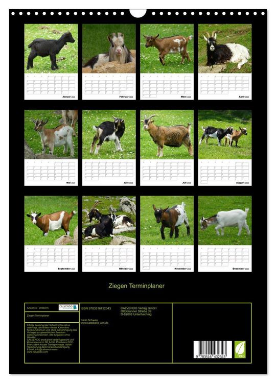 Produktbild: Ziegen Terminplaner (Wandkalender 2026 DIN A3 hoch), CALVENDO Monatskalender