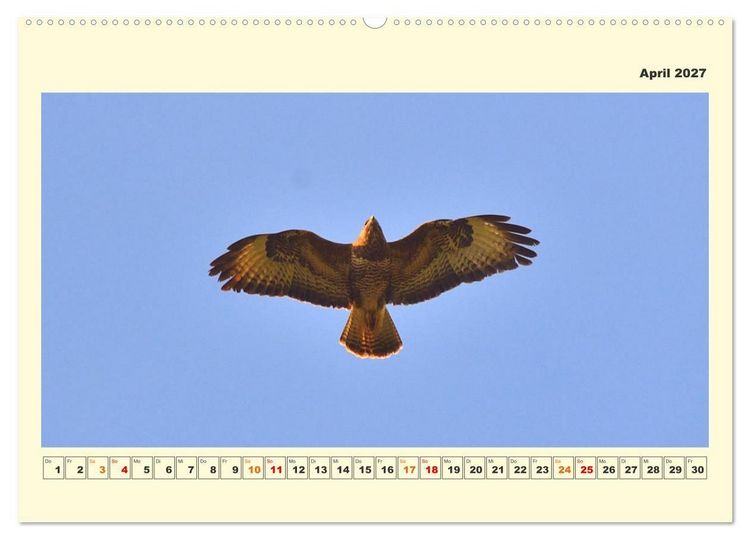 Produktbild: Tierwelt der W&uuml;mmeniederung (hochwertiger Premium Wandkalender 2027 DIN A2 quer), Kunstdruck in Hochglanz