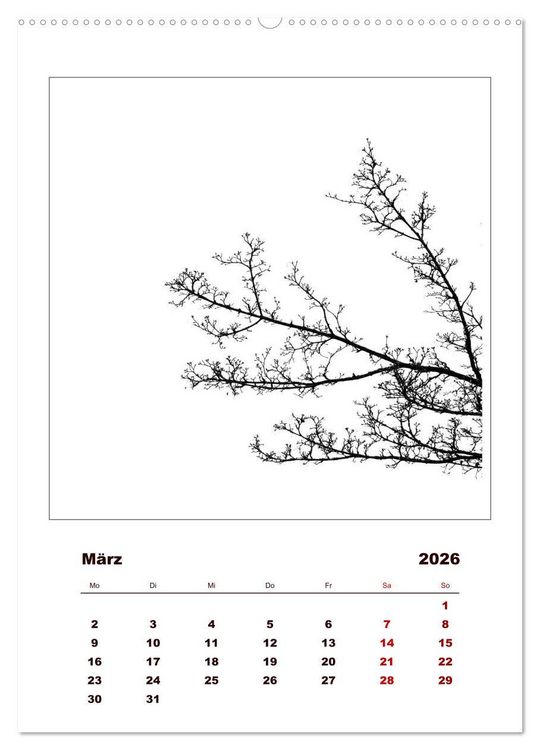 Produktbild: LignoGrafica - Muster und Strukturen der B&auml;ume (Wandkalender 2026 DIN A2 hoch), CALVENDO Monatskalender