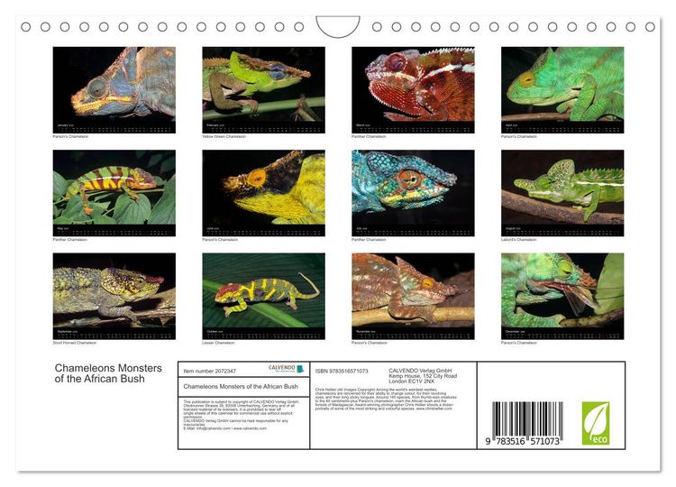 Produktbild: Chameleons Monsters of the African Bush (Wall Calendar 2026 DIN A4 landscape), CALVENDO 12 Month Wall Calendar