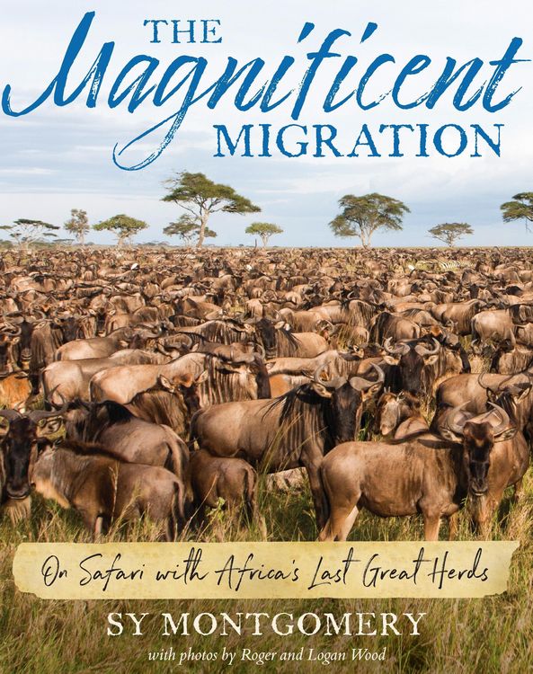 Produktbild: Magnificent Migration