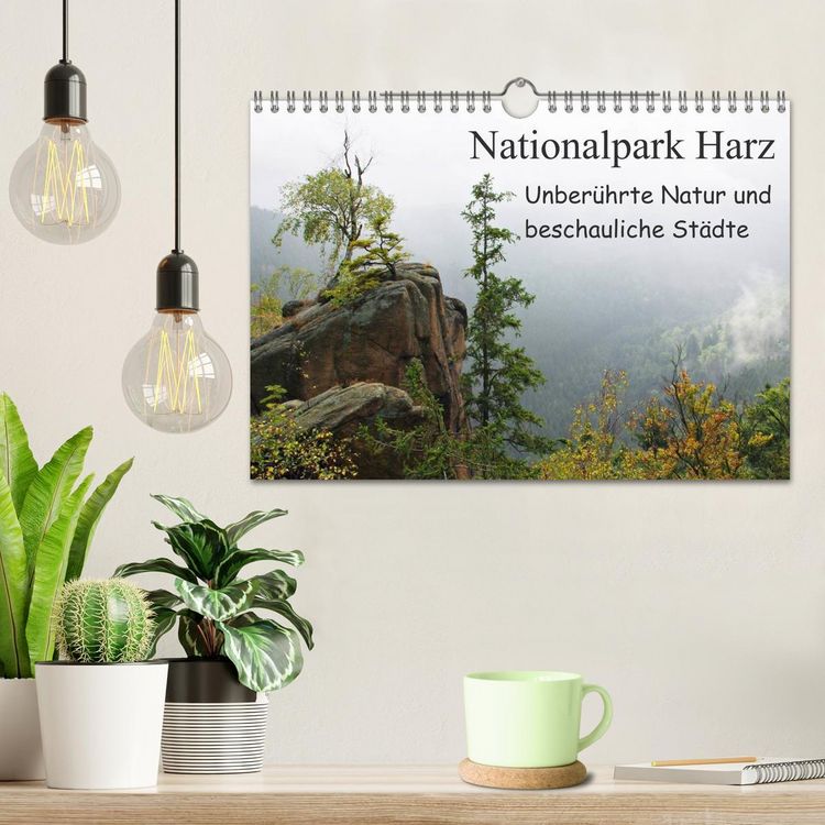 Produktbild: Nationalpark Harz Unber&uuml;hrte Natur und beschauliche St&auml;dte (Wandkalender 2026 DIN A4 quer), CALVENDO Monatskalender