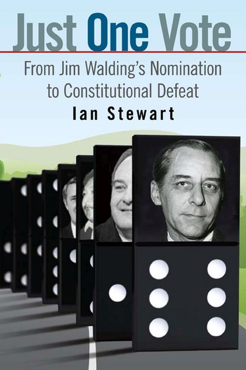 Produktbild: Just One Vote