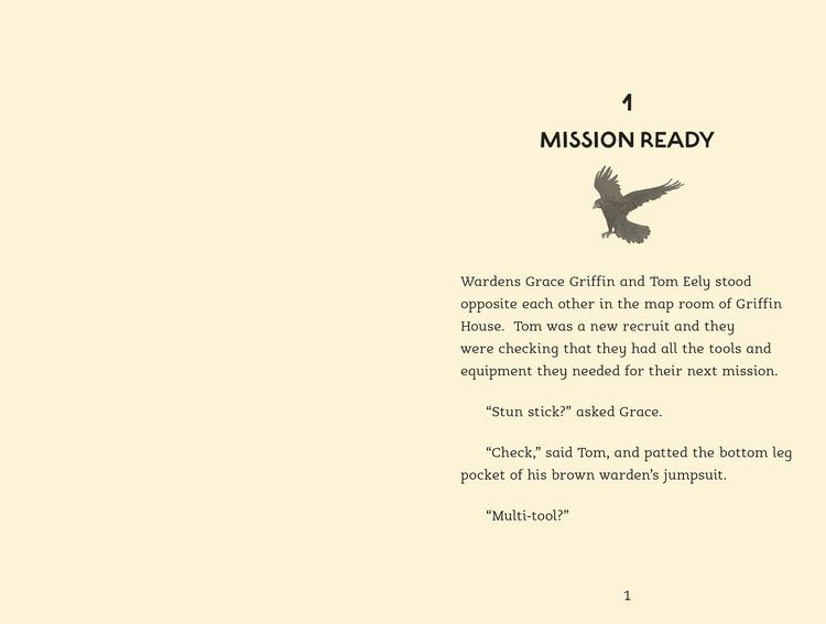 Produktbild: The Raven Riddle