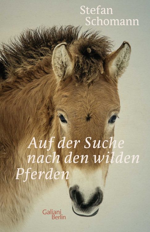 Produktbild: Auf der Suche nach den wilden Pferden