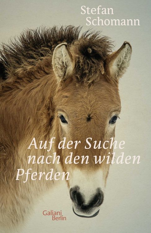 Produktbild: Auf der Suche nach den wilden Pferden