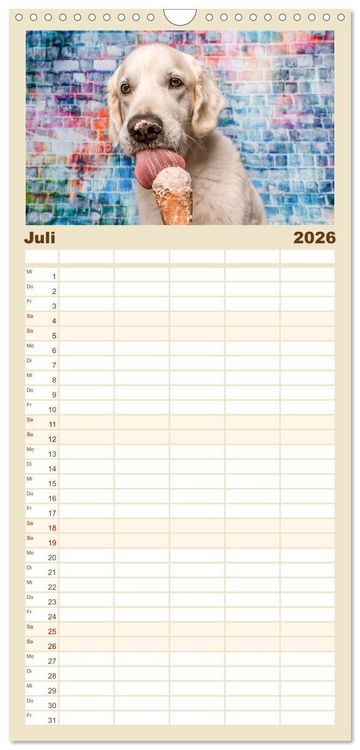 Produktbild: Familienplaner 2026 - Cool Dogs - Hunde-Spa&szlig; im Studio mit 5 Spalten (Wandkalender, 21 x 45 cm) CALVENDO