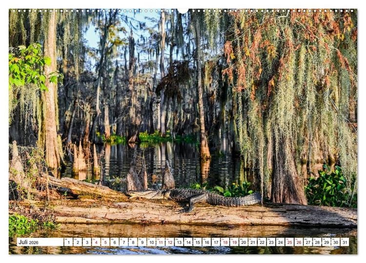 Produktbild: Louisiana - S&uuml;mpfe und Plantagenh&auml;user (Wandkalender 2026 DIN A2 quer), CALVENDO Monatskalender