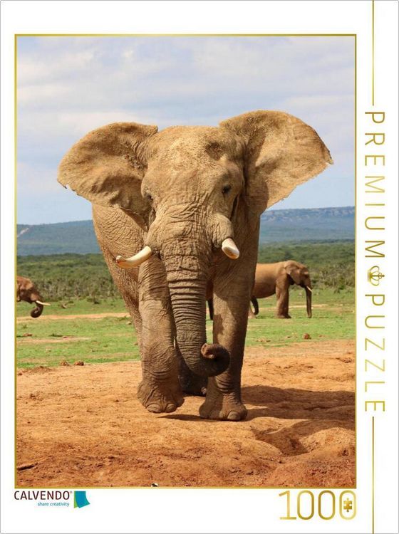Produktbild: CALVENDO Puzzle Ein Motiv aus dem Kalender S&Uuml;DAFRIKA Wild-Tiere im Addo Elephant Park | 1000 Teile Lege-Gr&ouml;&szlig;e 64x48cm Foto-Puzzle f&uuml;r gl&uuml;ckliche Stund