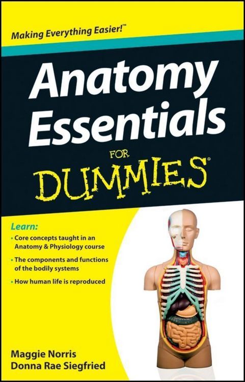 Produktbild: Anatomy Essentials For Dummies