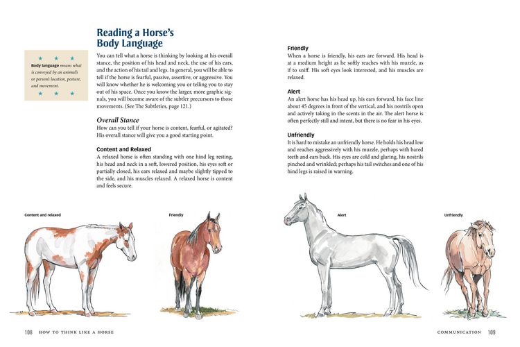 Produktbild: How to Think Like a Horse