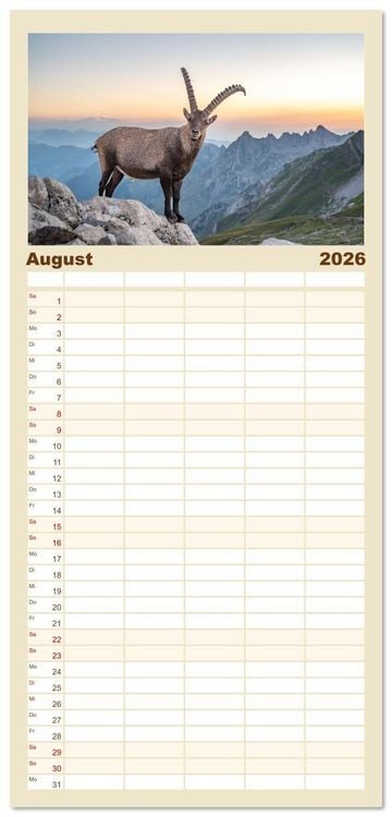 Produktbild: Familienplaner 2026 - Steinb&ouml;cke - Eindr&uuml;ckliche K&ouml;nige der Alpen mit 5 Spalten (Wandkalender, 21 x 45 cm) CALVENDO