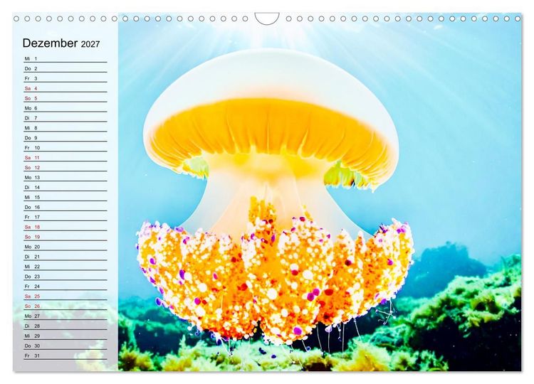 Produktbild: Quallen - Faszinierende Urzeitwesen der Meere (Wandkalender 2027 DIN A3 quer), CALVENDO Monatskalender