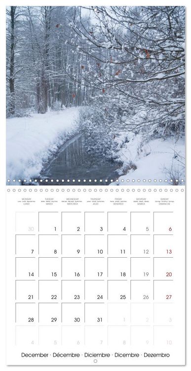 Produktbild: Spreewald - A Natural Paradise (Wall Calendar 2026 12 &times; 12 Inch) CALVENDO 12 Month Wall Calendar