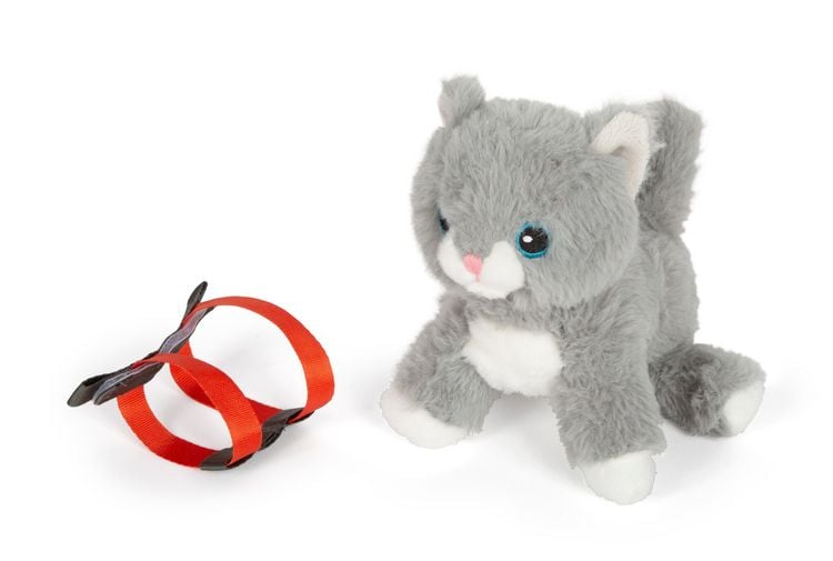 Produktbild: Katze mit Tasche und Pflege-Set