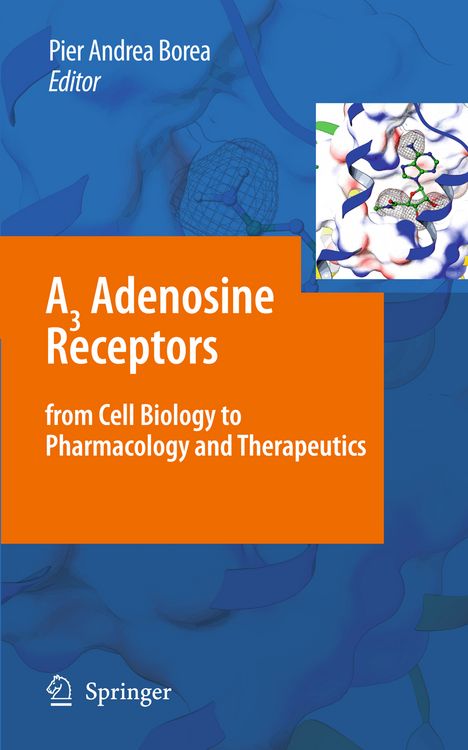 Produktbild: A3 Adenosine Receptors from Cell Biology to Pharmacology and Therapeutics